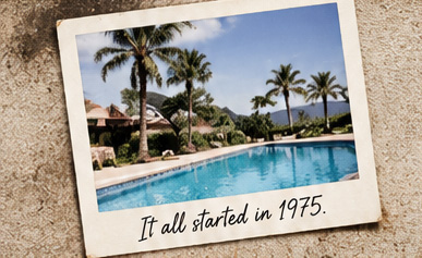 Vintage photo of a palm-lined pool. It all started in 1975.